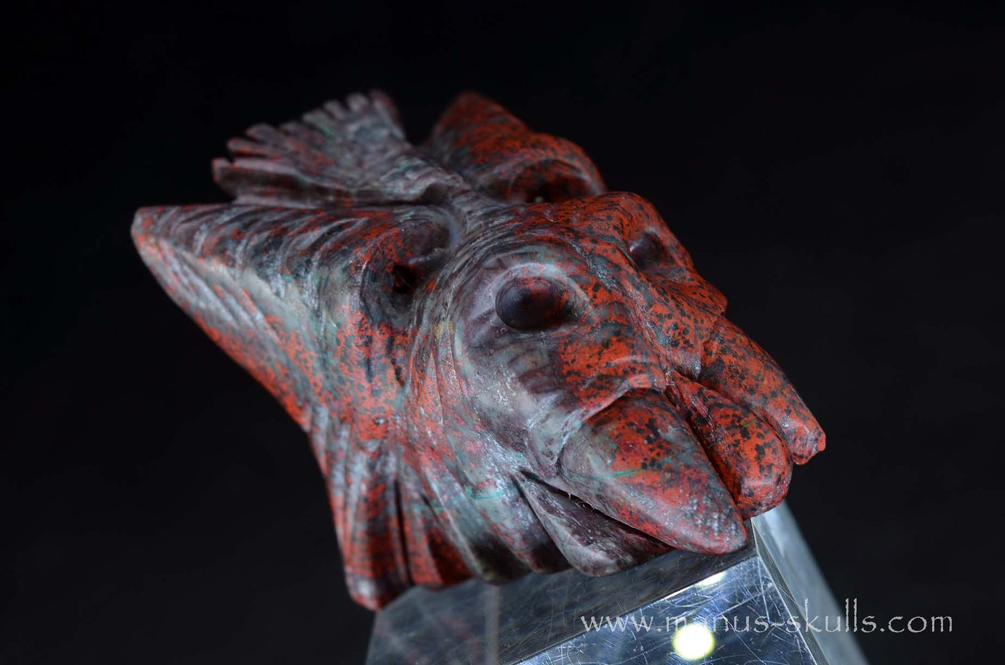 Cute Sonora Sunrise Baby Dragon