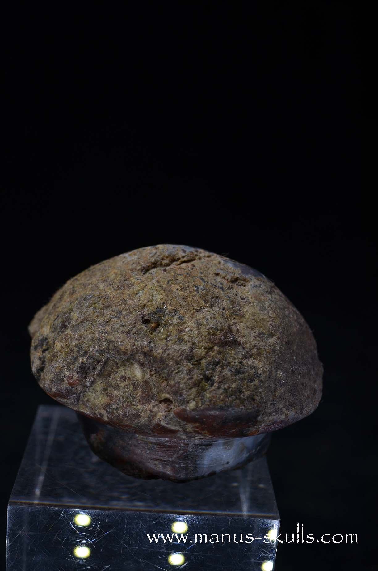 Agate Geode Evolian #10