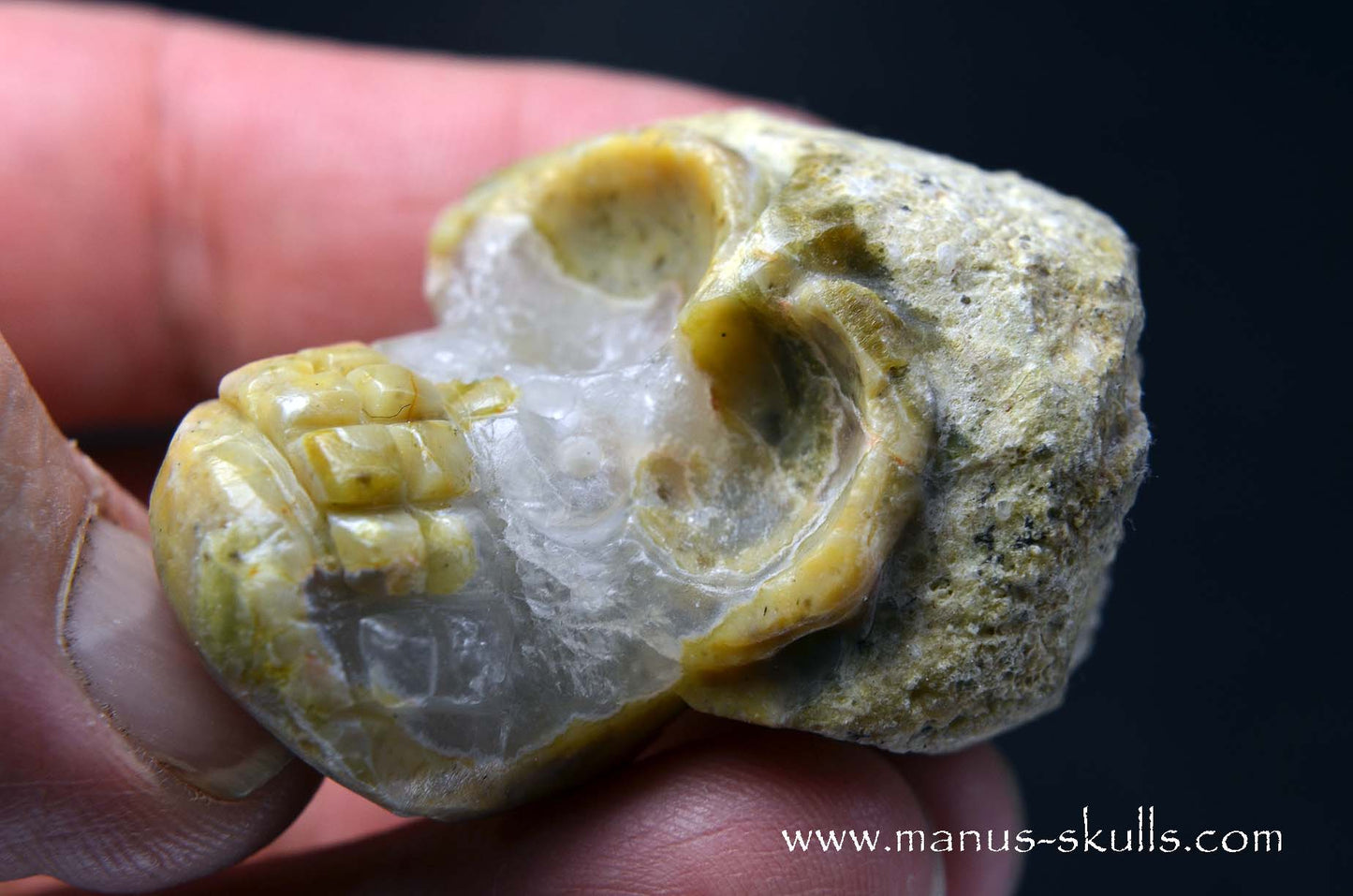 TNT-bed Thunderegg  Evolian #08