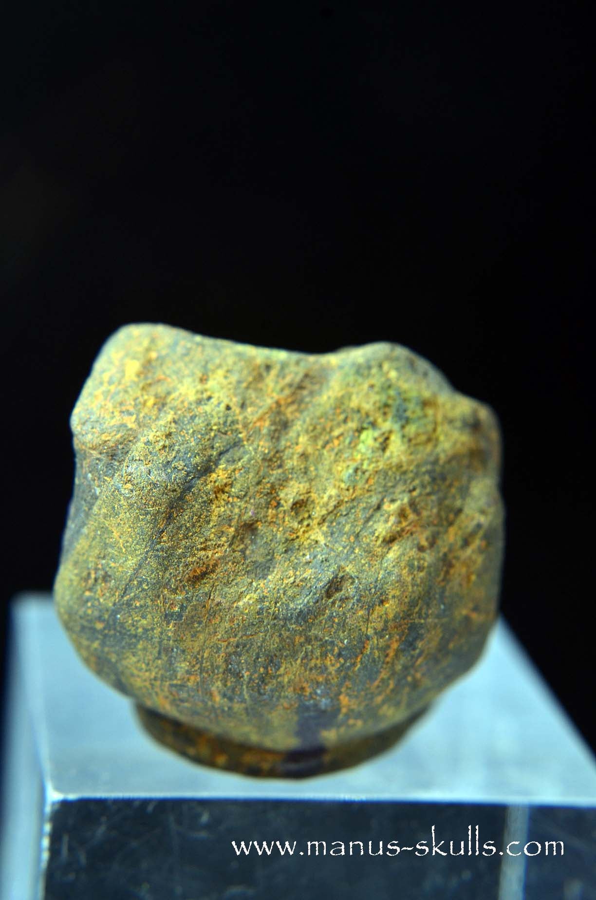 Purpurite Evolian #06