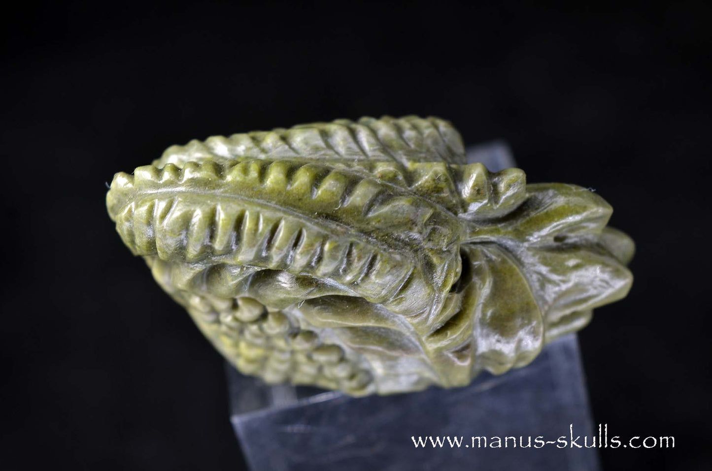 Detailed Greenlandite Dragon