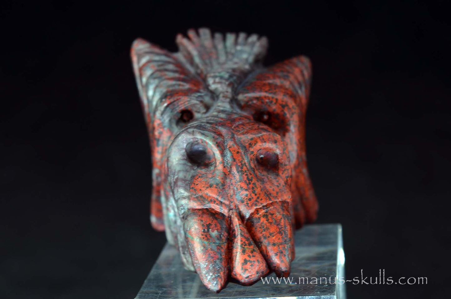 Cute Sonora Sunrise Baby Dragon