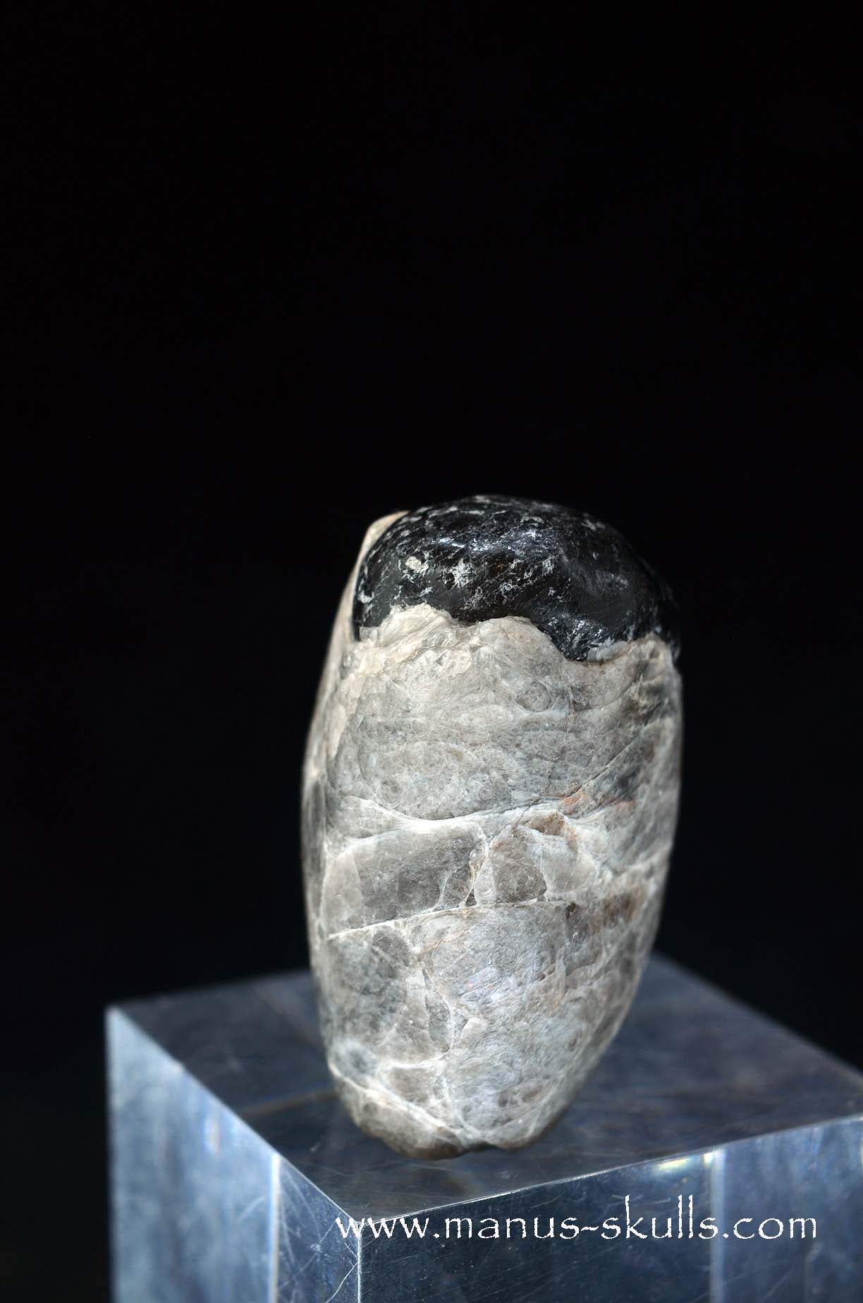 Apache Tears Obsidian on Matrix Skull #2