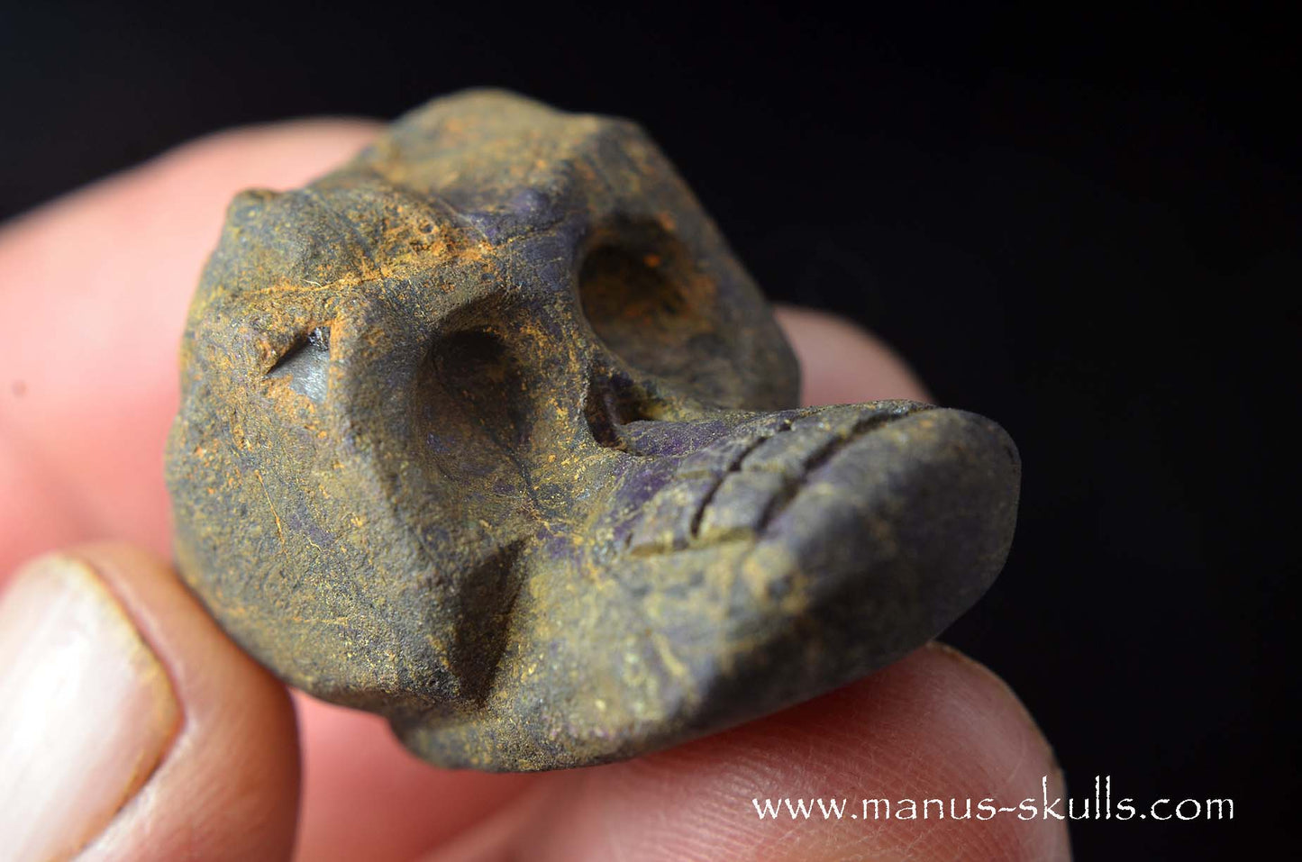 Purpurite Evolian #06