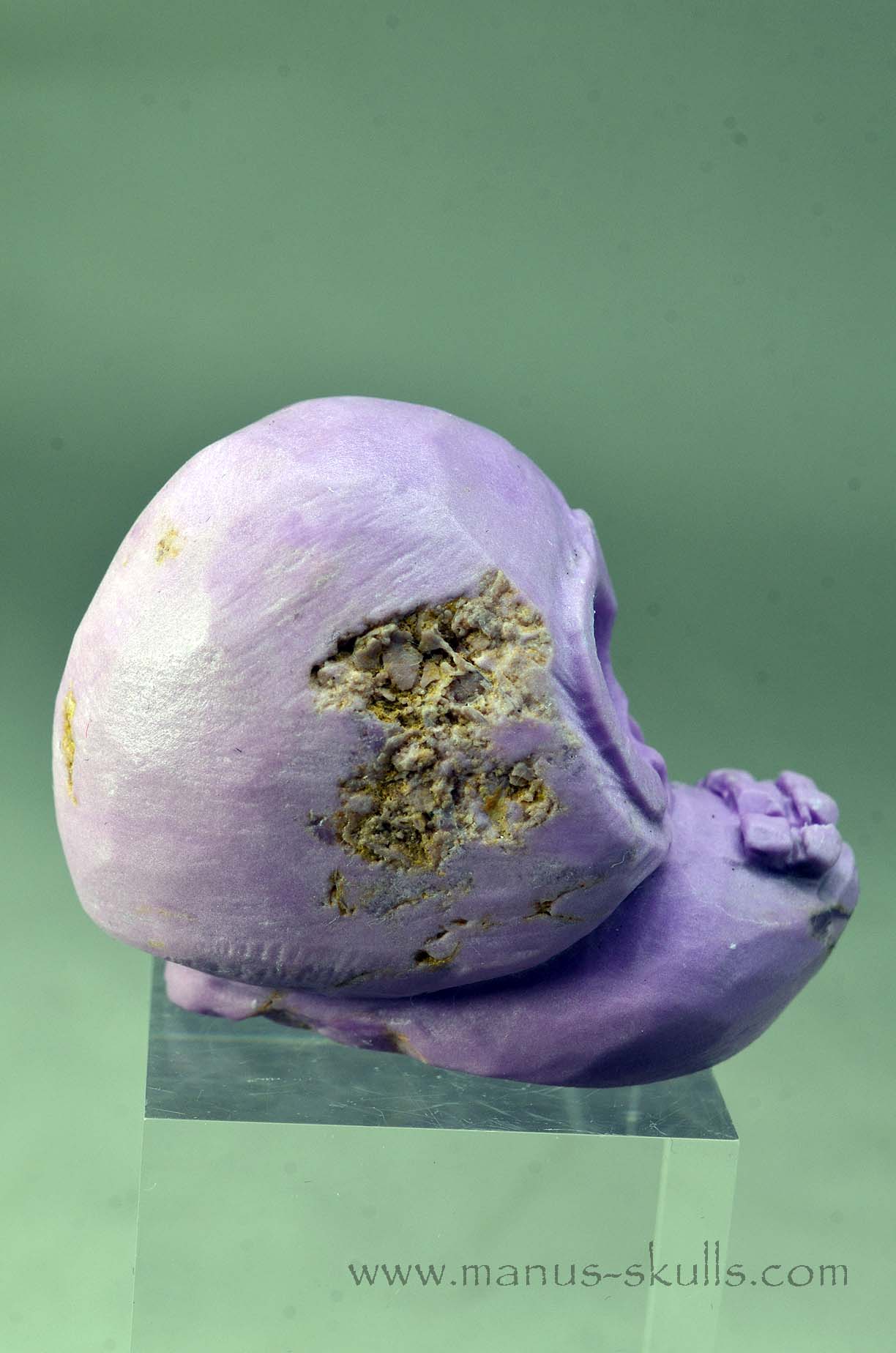 Phosphosiderite Evolian Skull #10