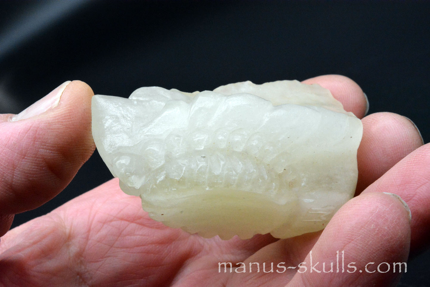 Libyan Desert Glass Dragon