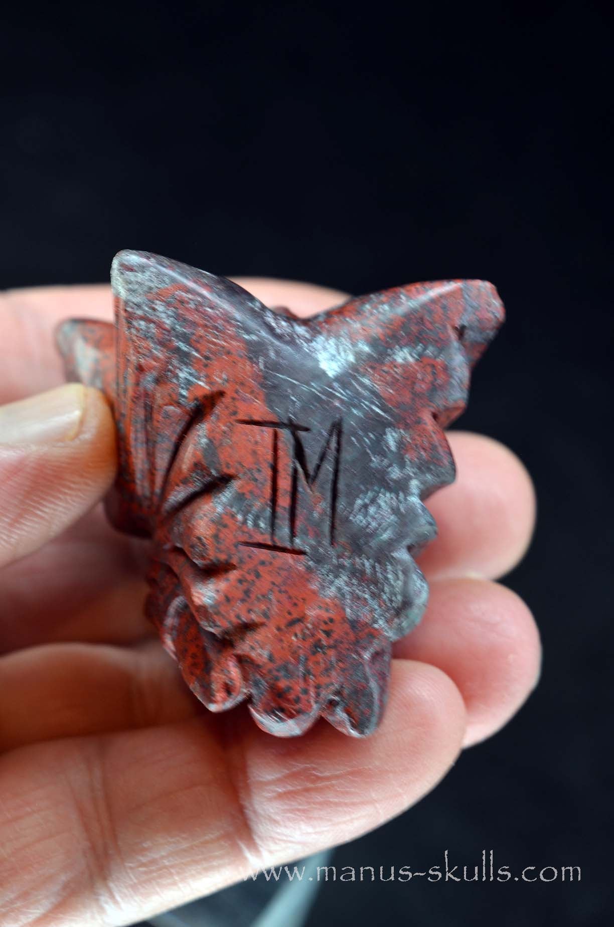 Cute Sonora Sunrise Baby Dragon