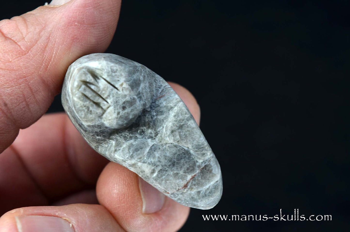 Apache Tears Obsidian on Matrix Skull #2