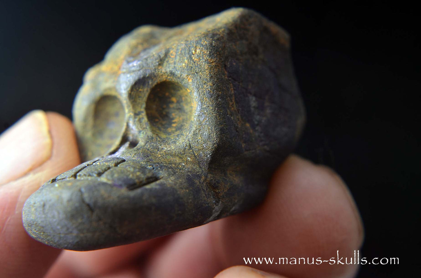 Purpurite Evolian #06