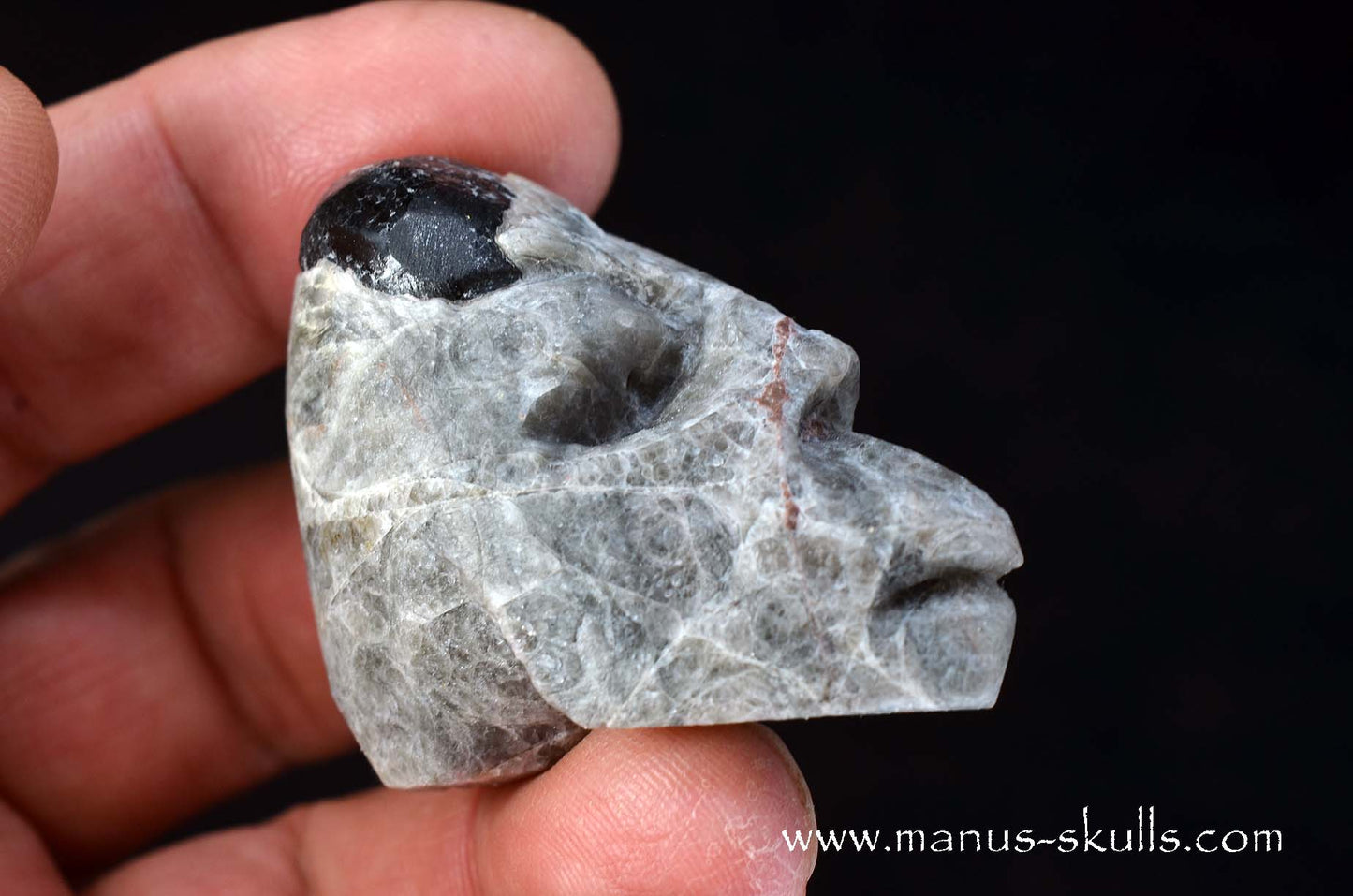 Apache Tears Obsidian on Matrix Skull #2