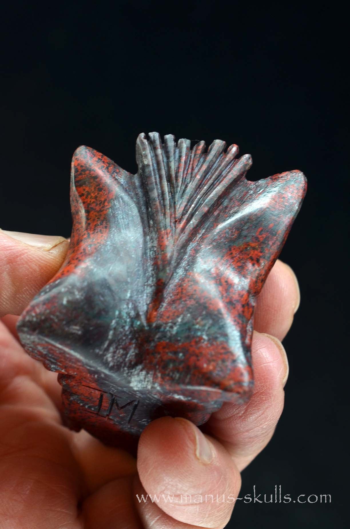 Cute Sonora Sunrise Baby Dragon