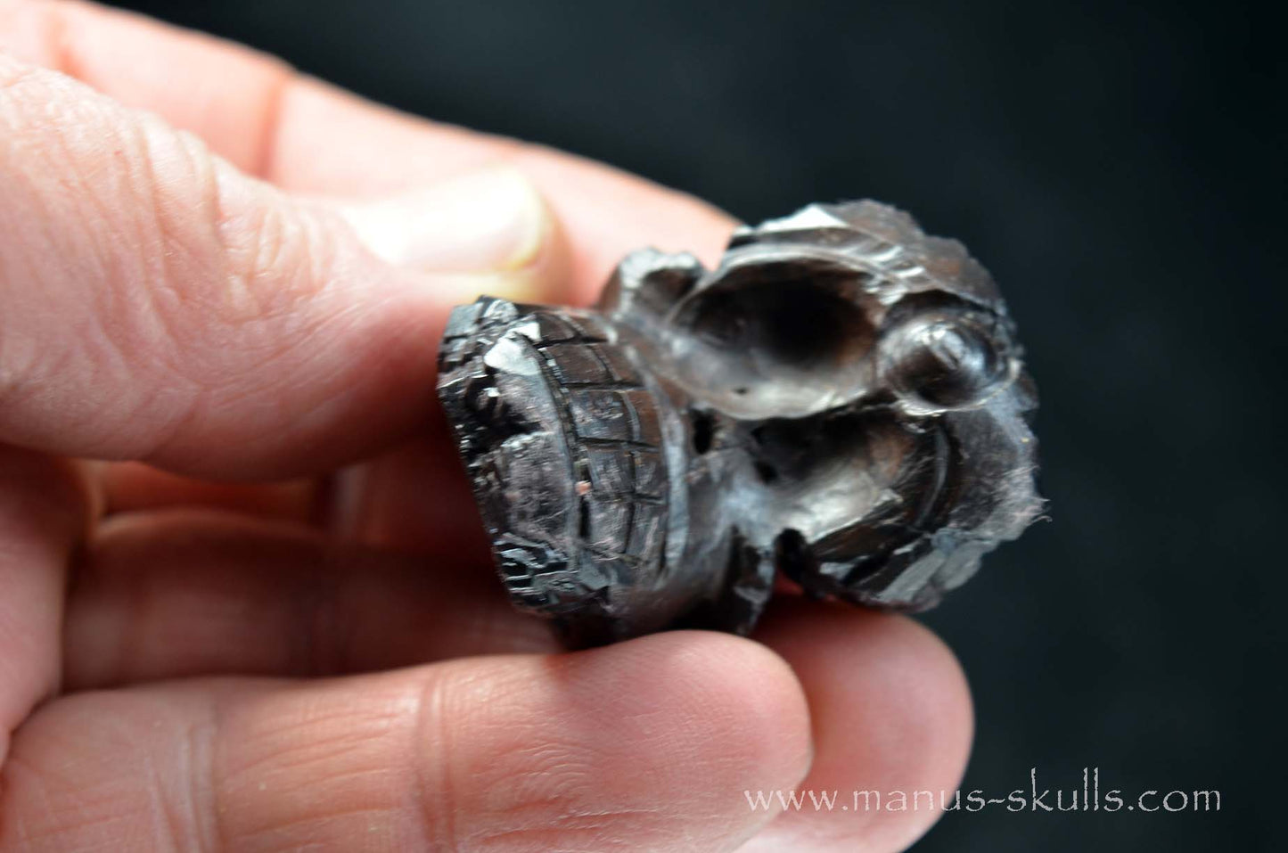 Prophecy Stone Evolian #04