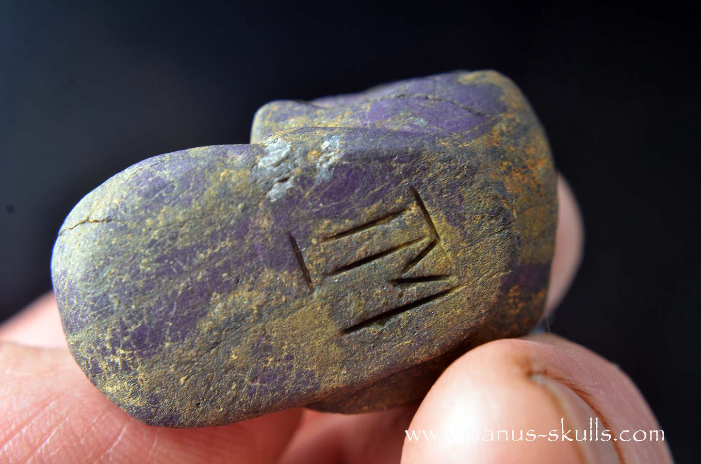 Purpurite Evolian #06