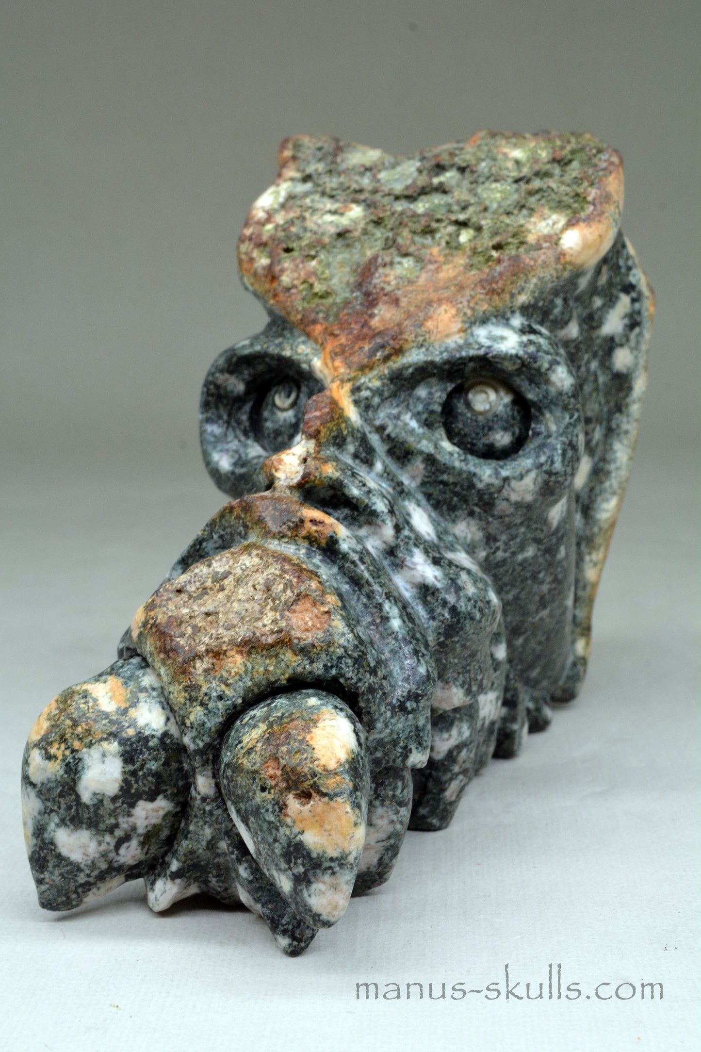 Large Preseli Bluestone Skull.