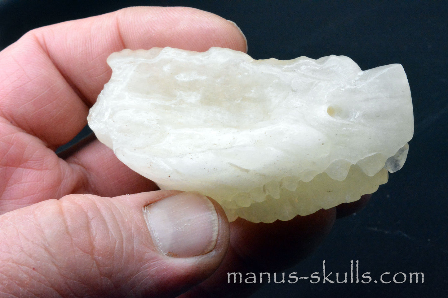 Libyan Desert Glass Manus Dragon.
