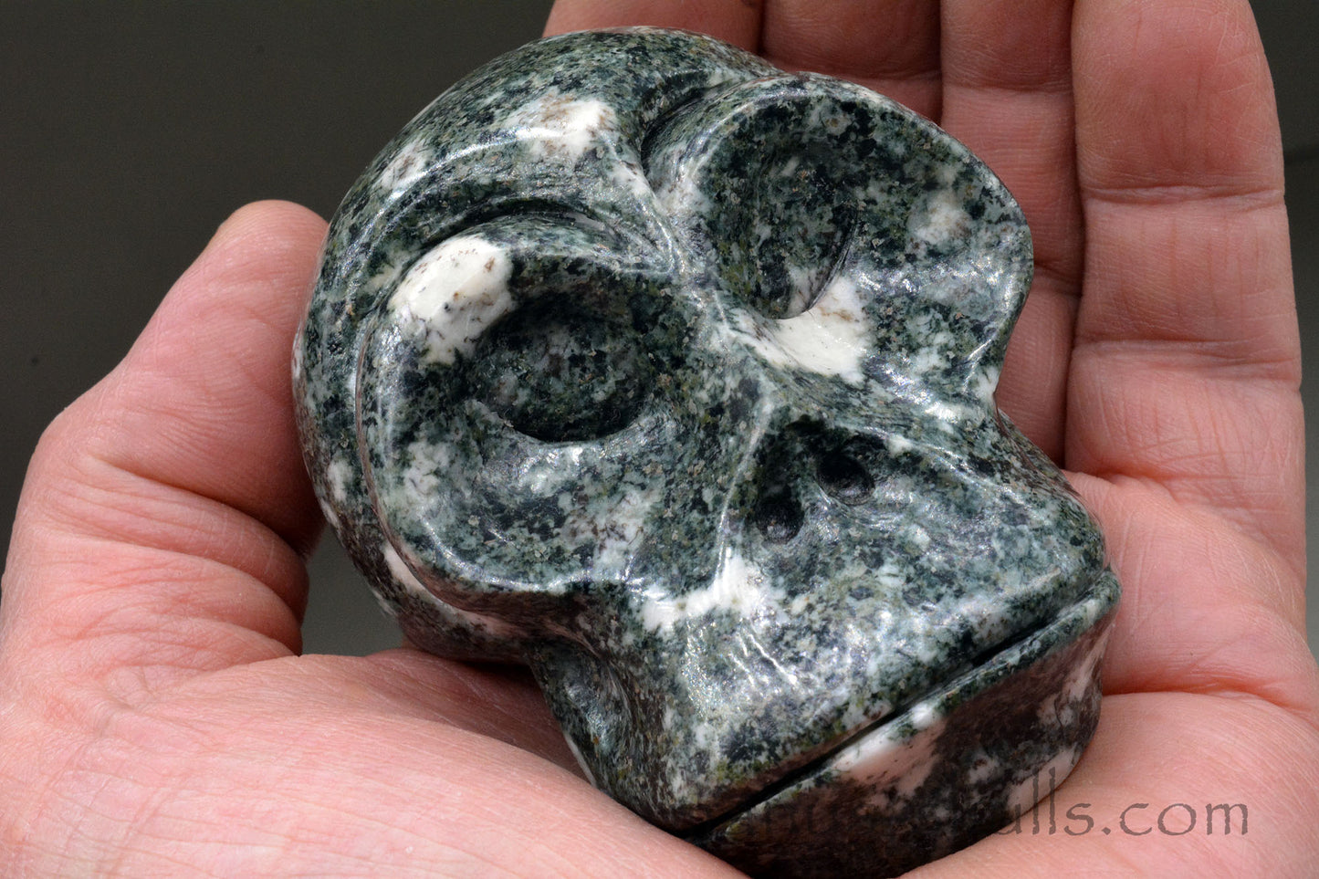 Toothless Preseli Bluestone Skull