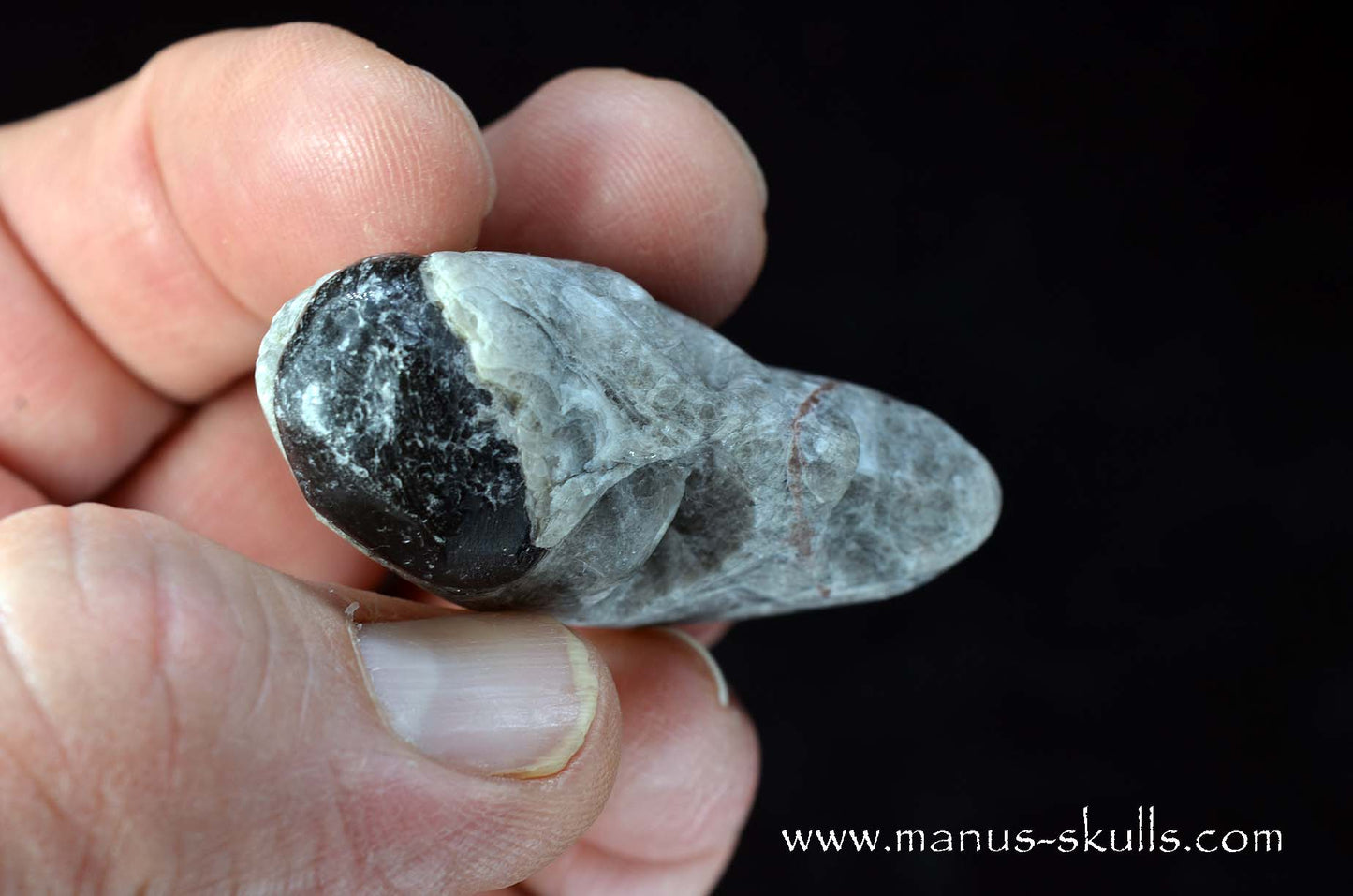 Apache Tears Obsidian on Matrix Skull #2