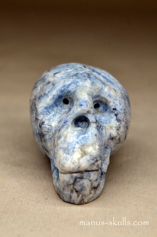 Blue Kyanite Manus Skull.