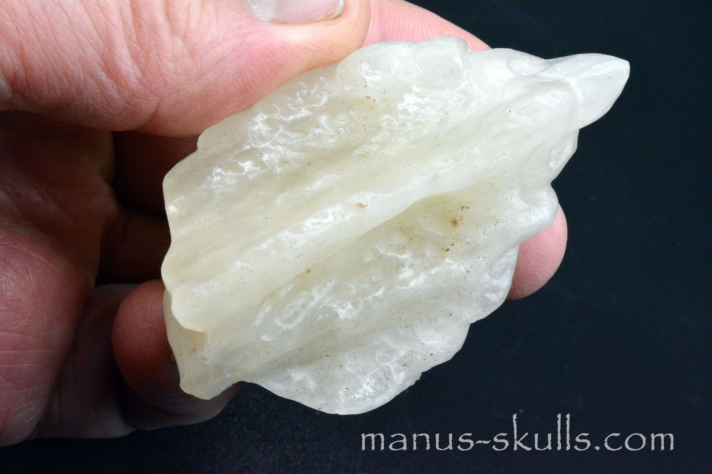 Libyan Desert Glass Dragon