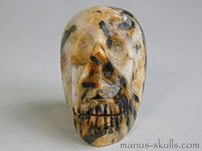 Zebra Agate Skull