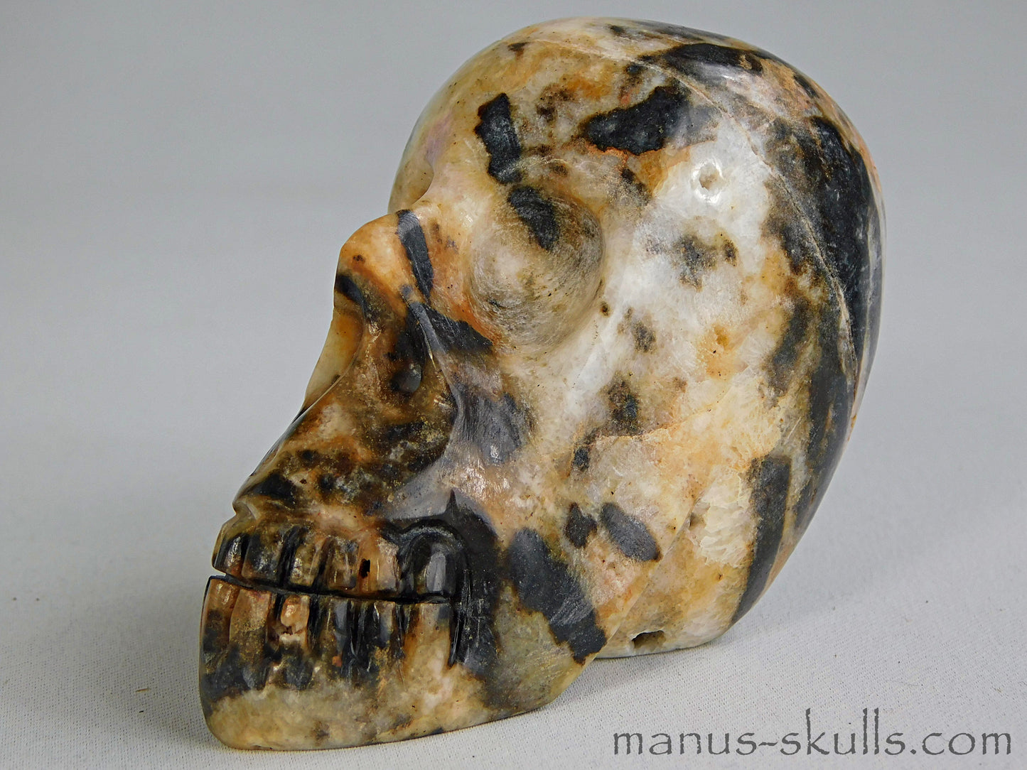 Zebra Agate Skull