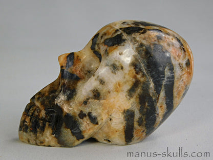 Zebra Agate Manus Skull