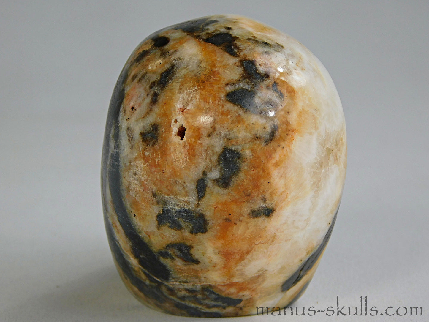 Zebra Agate Skull