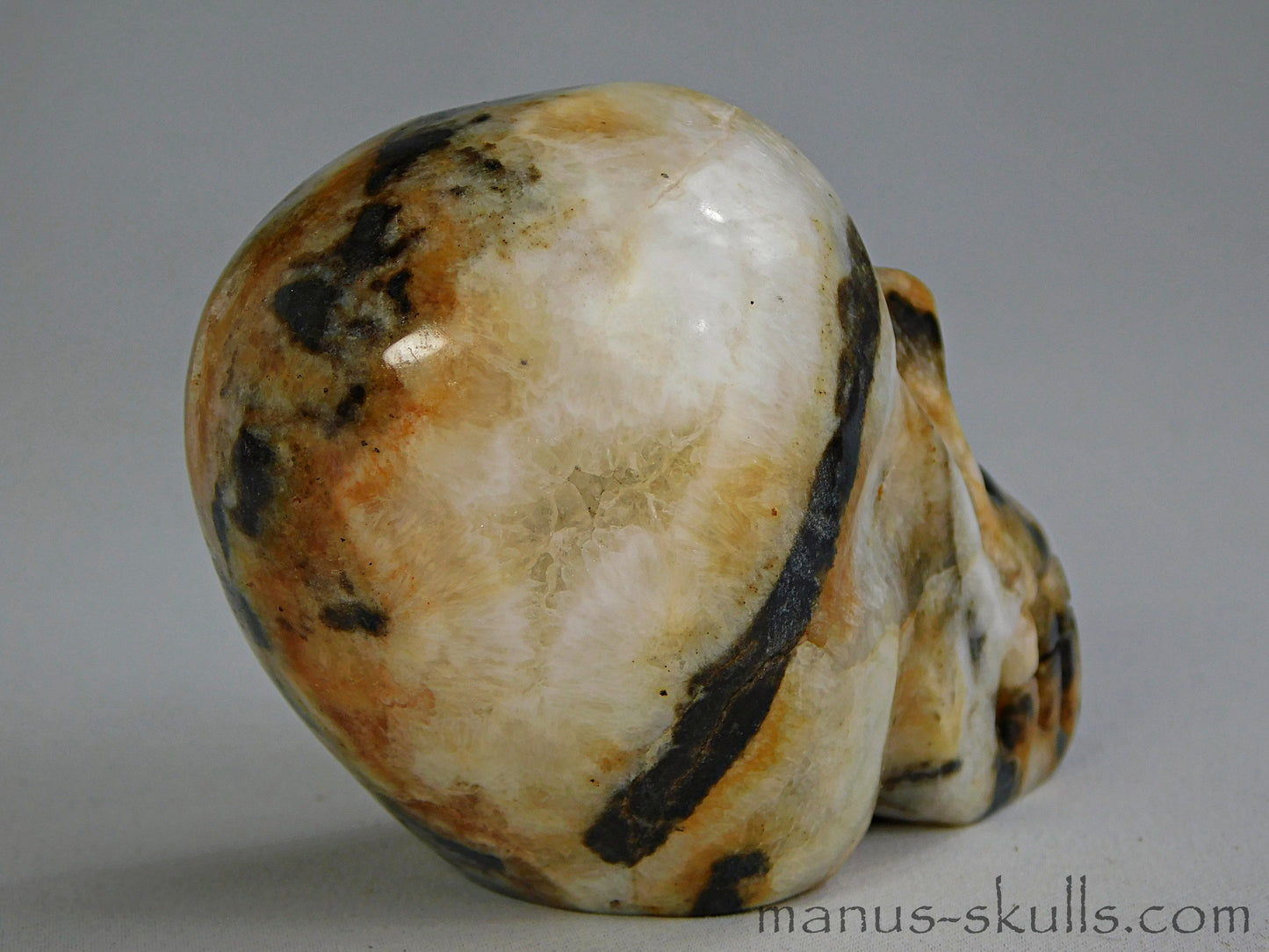 Zebra Agate Skull