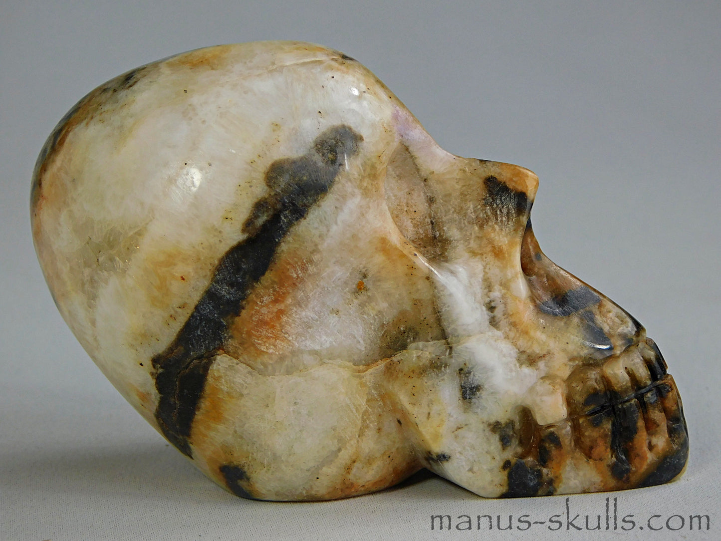 Zebra Agate Skull