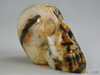 Zebra Agate Skull