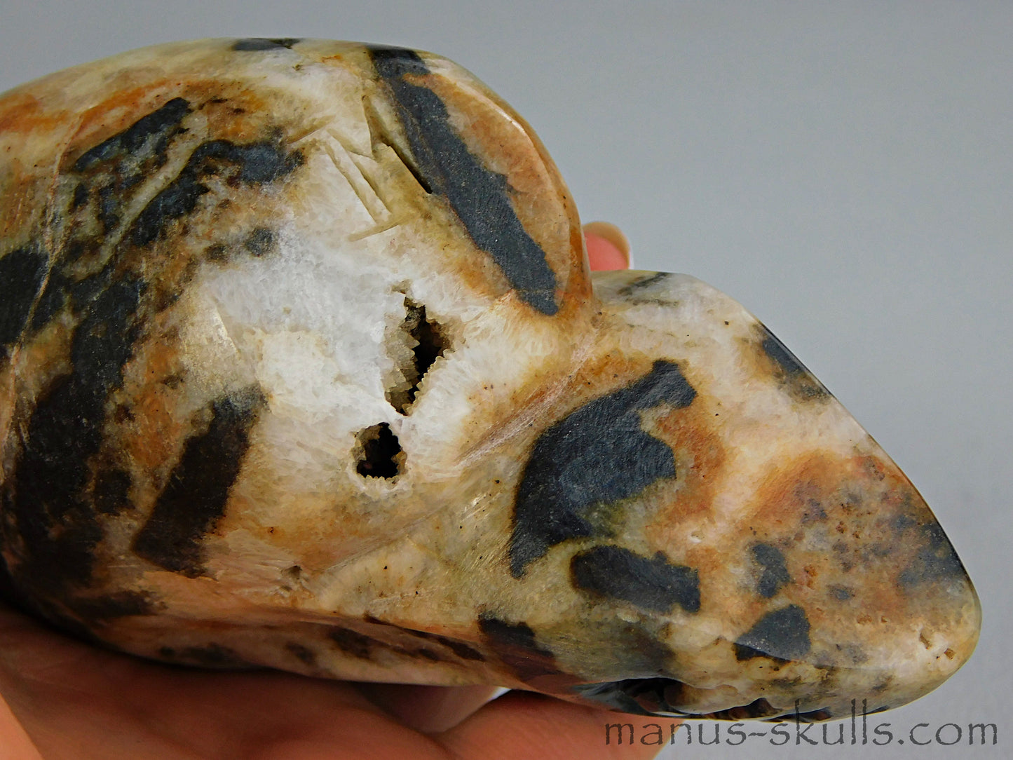 Zebra Agate Skull