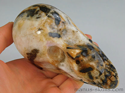 Zebra Agate Skull