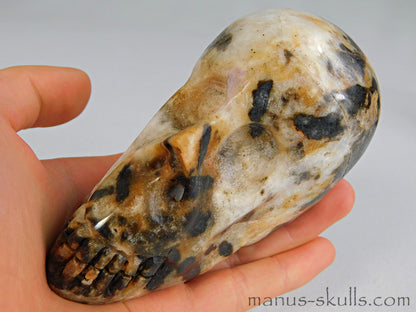 Zebra Agate Skull