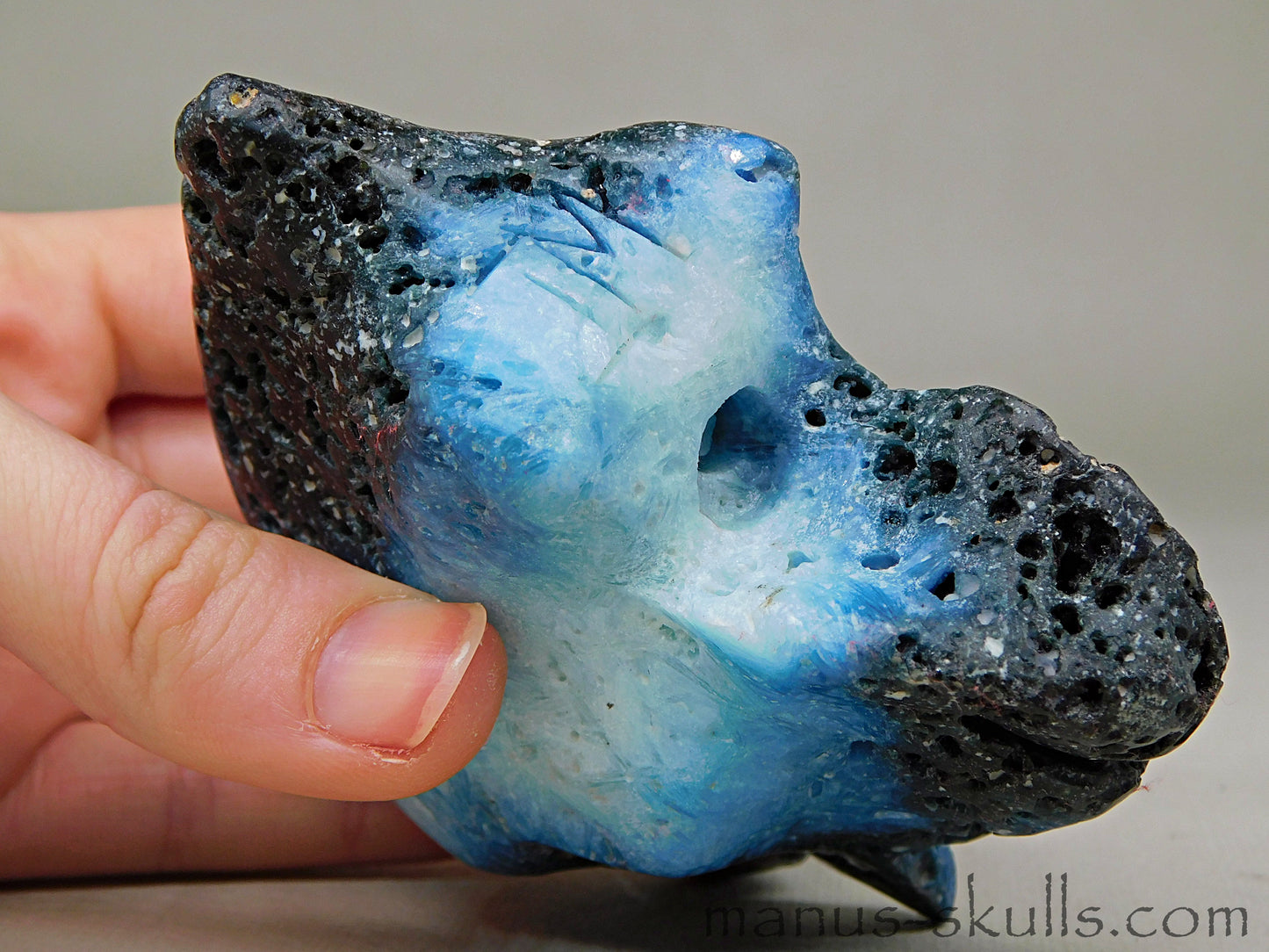 GLACIERITE Toothless SKULL