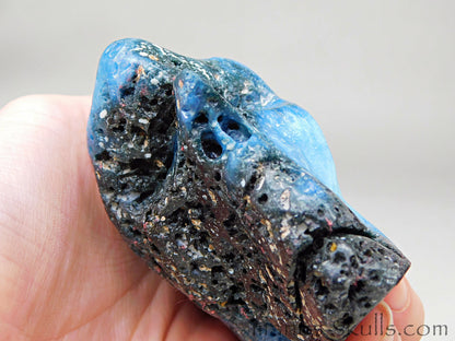 GLACIERITE Toothless SKULL