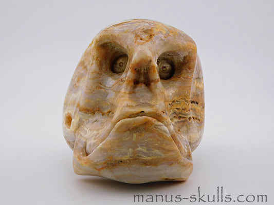 CRAZY LACE AGATE toothless Manus Skull .....