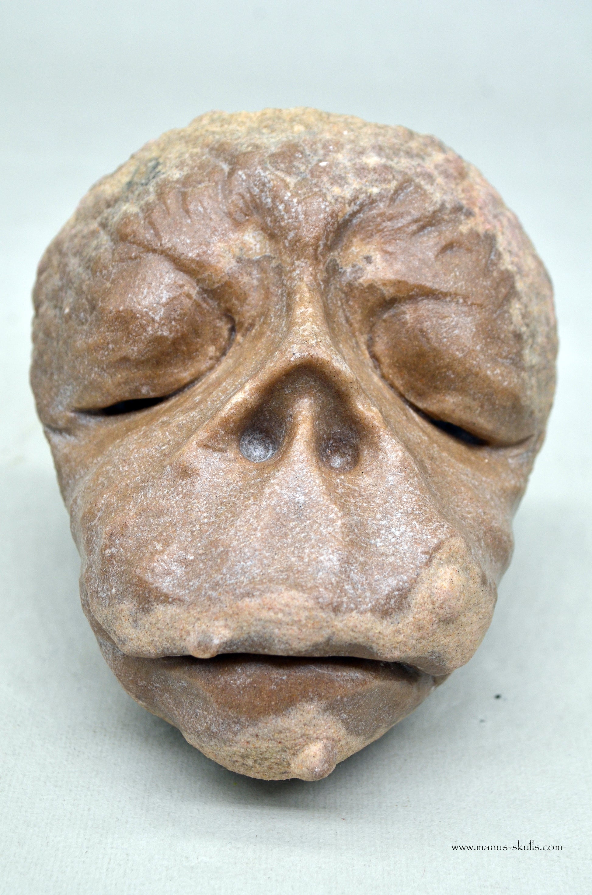 Large Stromatolite ~ Oncolite Face Manus Skull