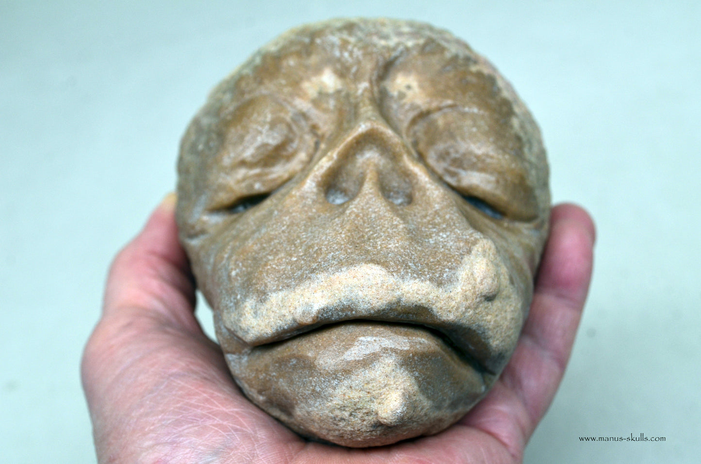 Large Stromatolite ~ Oncolite Face Skull