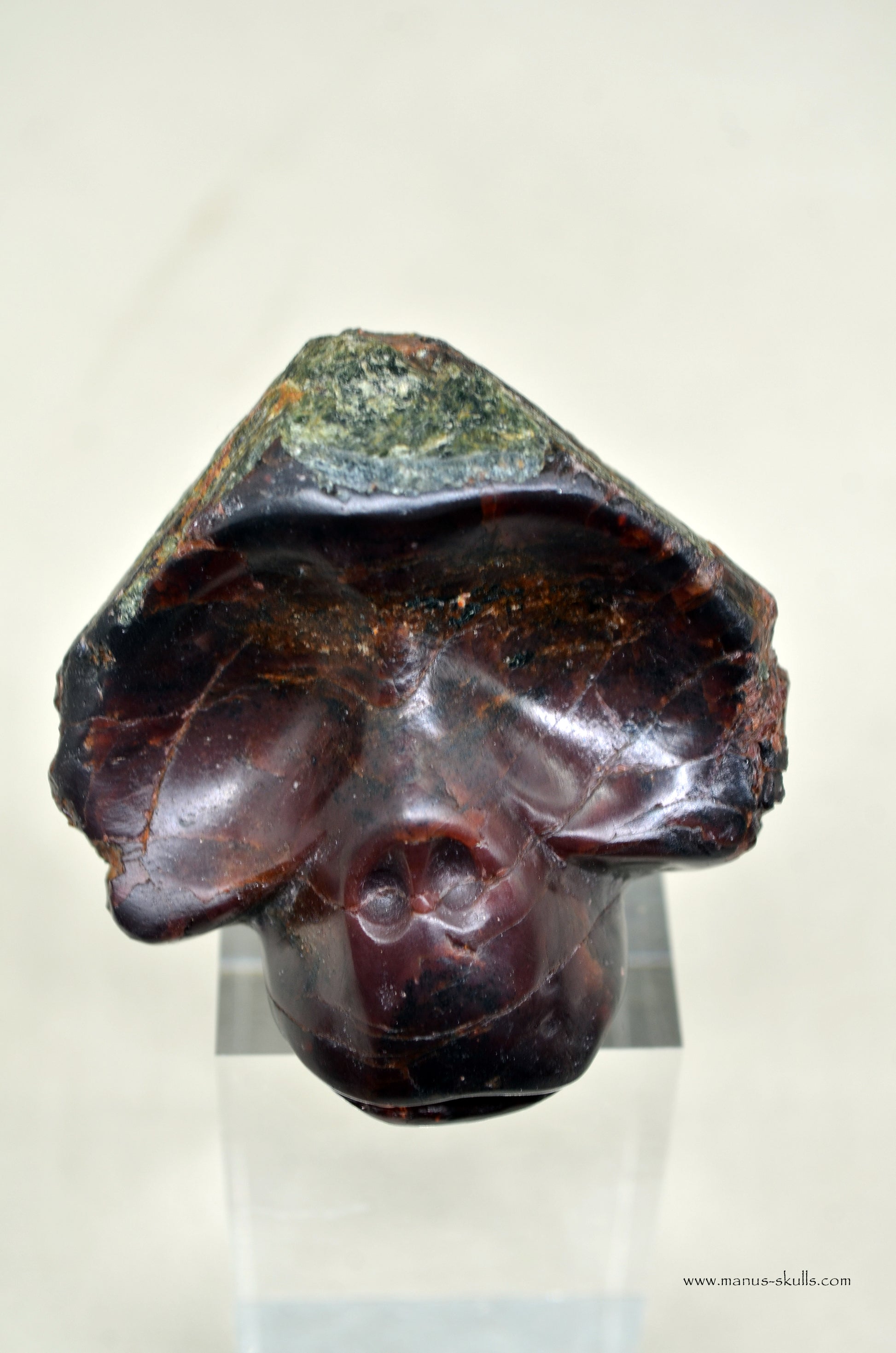 Toothless Manus Garnet Skull