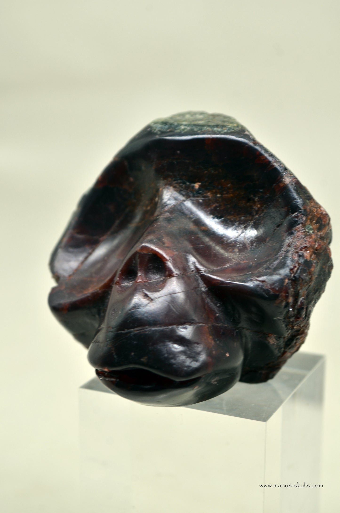 Toothless Manus Garnet Skull