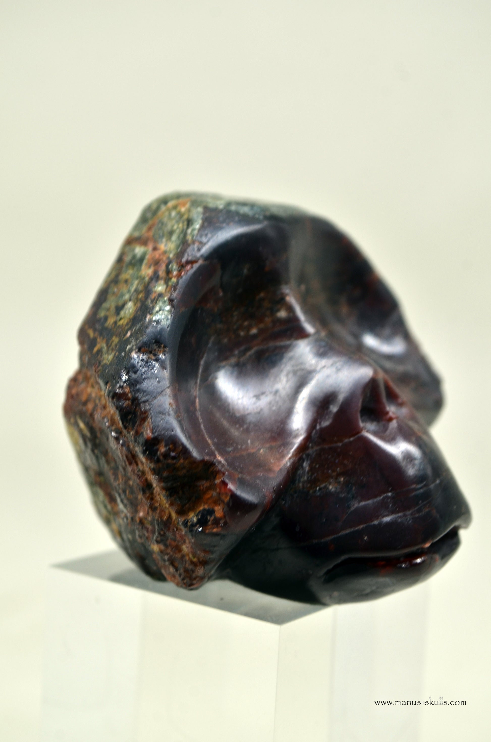 Toothless Manus Garnet Skull