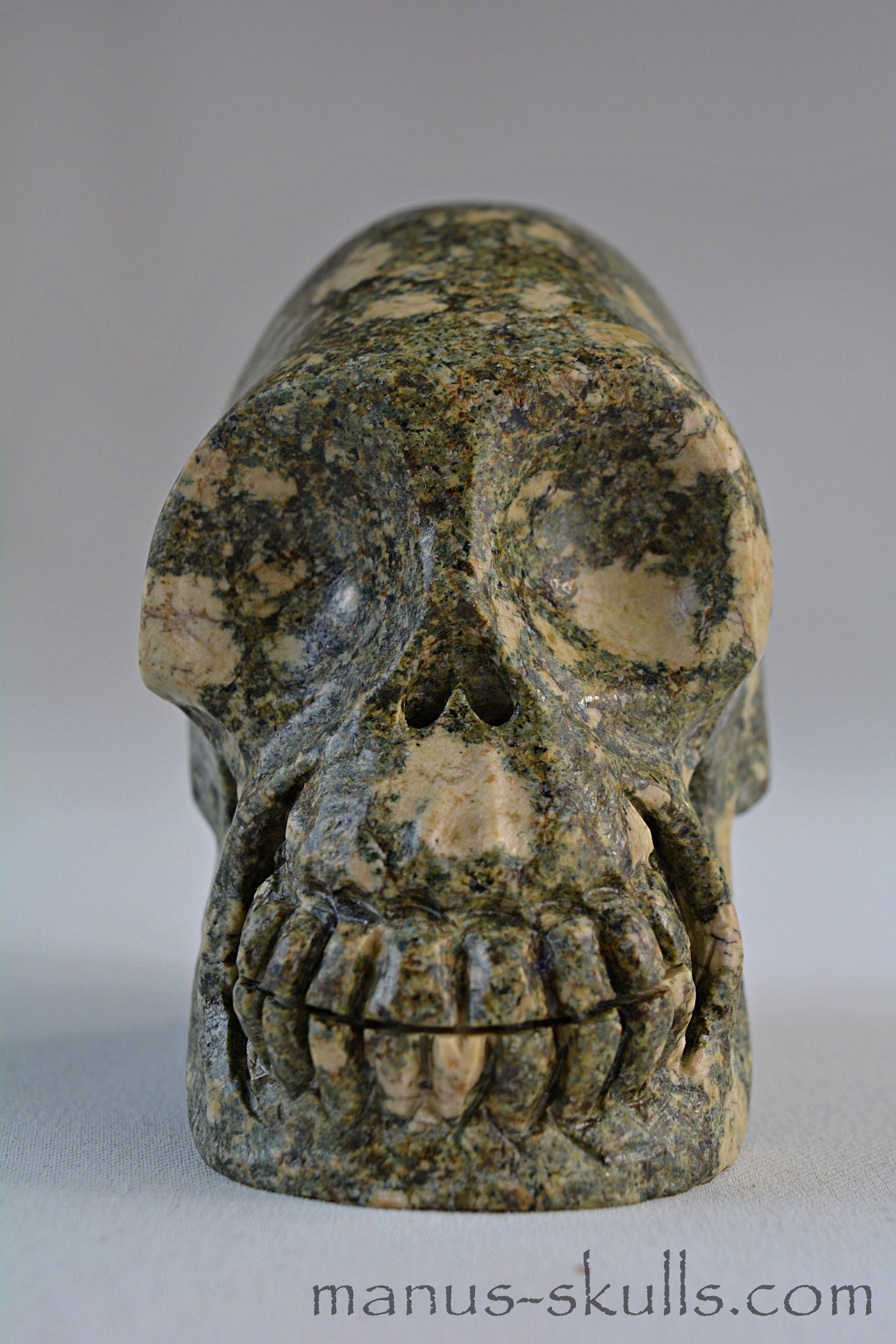 Preseli Bluestone Skull with Triskelion Symbol