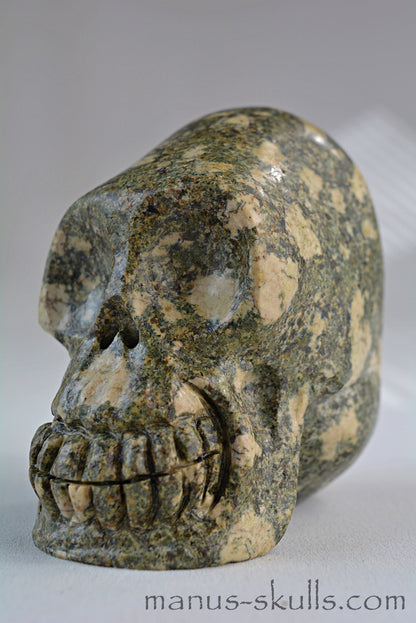 Preseli Bluestone Skull with Triskelion Symbol