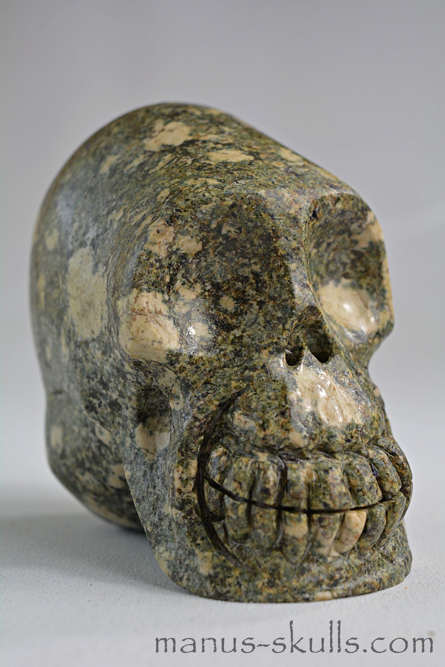 Preseli Bluestone Skull with Triskelion Symbol