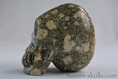 Preseli Bluestone Skull with Triskelion Symbol