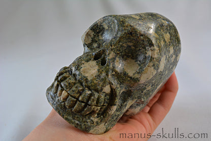 Preseli Bluestone Skull with Triskelion Symbol