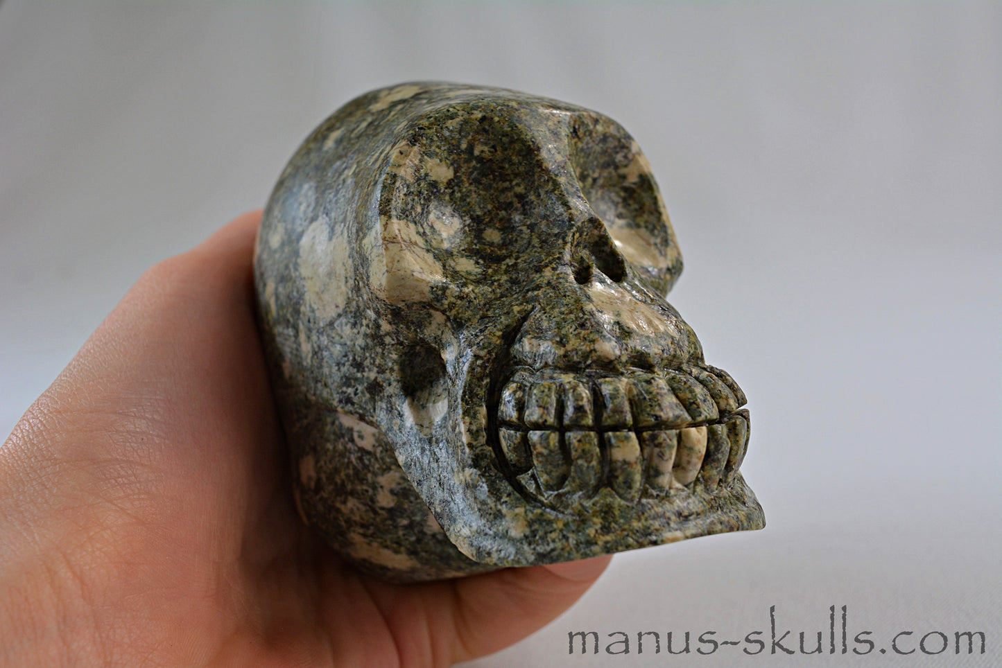 Preseli Bluestone Skull with Triskelion Symbol