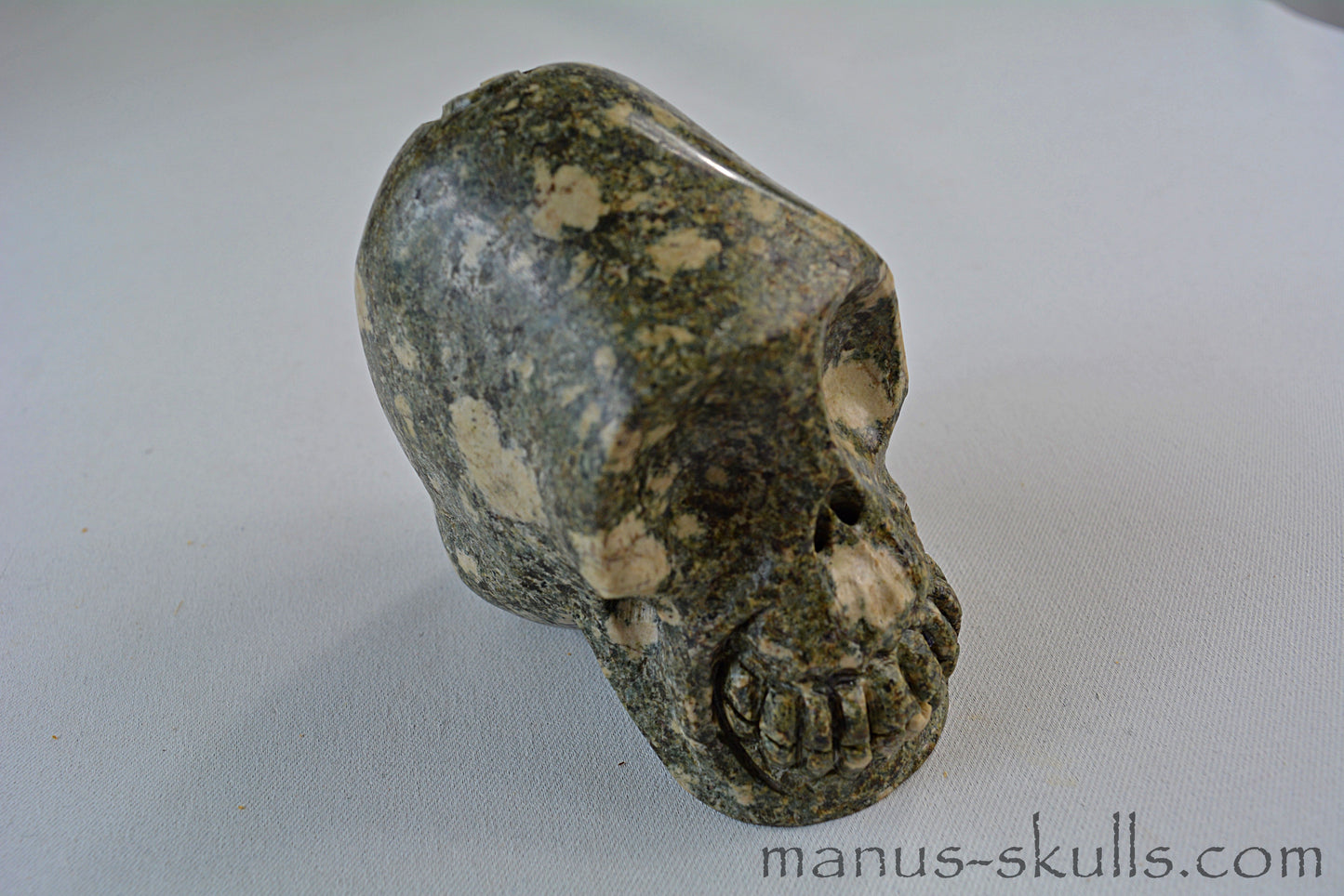 Preseli Bluestone Skull with Triskelion Symbol