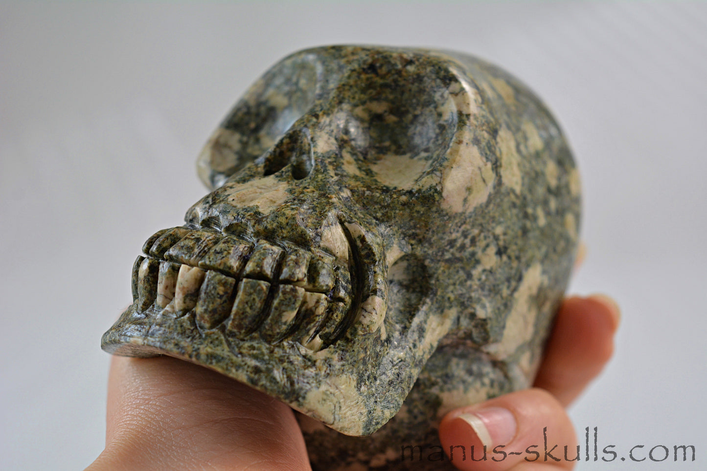 Preseli Bluestone Skull with Triskelion Symbol