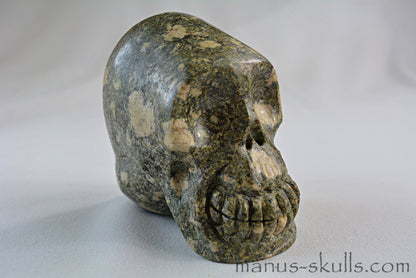 Preseli Bluestone Skull with Triskelion Symbol